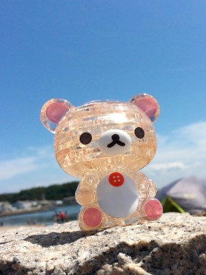 Sunny Teddy٩(.› ‹.♡)۶