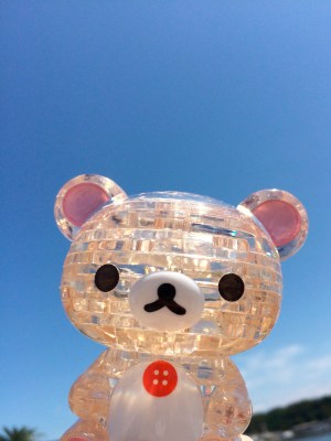 Sunny Teddy٩(.› ‹.♡)۶