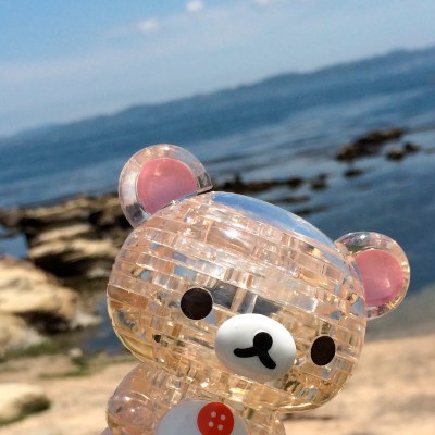 Sunny Teddy٩(.› ‹.♡)۶