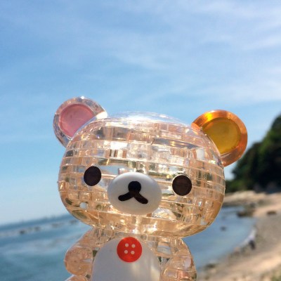 Sunny Teddy♥(˶ ･ᴗ･ )੭♡