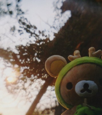 ✿.*・✿.*・✿.*・✿.*・✿.*・✿.*・Happy New Year from Tomyodo✿.*・✿.*・✿.*・✿.*・✿.*・✿.*・