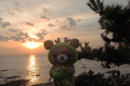 ✿.*・✿.*・✿.*・✿.*・✿.*・✿.*・Happy New Year from Tomyodo✿.*・✿.*・✿.*・✿.*・✿.*・✿.*・