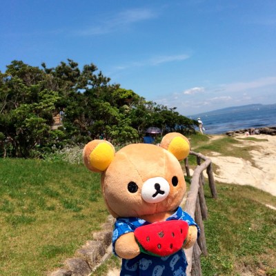 Sunny Teddy♥(˶ ･ᴗ･ )੭♡