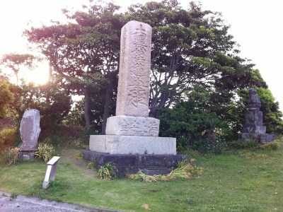 White berries and sea shells offering here.