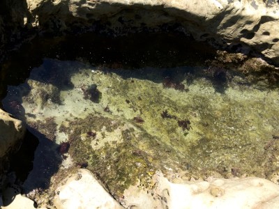 Clear glass sea♥(˶ ･ᴗ･ )੭♥ Small fish are.