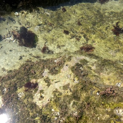 Little pond, little life(˶ ･ᴗ･ )੭