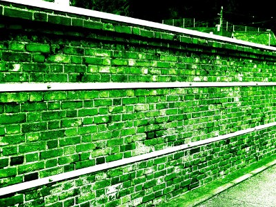 I'd love a Flemish assembled bricks wall.