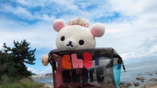 She sells sea shells since Cher Shore! Teddy! (⑉ ॢ• • ॢ⑉)❤︎