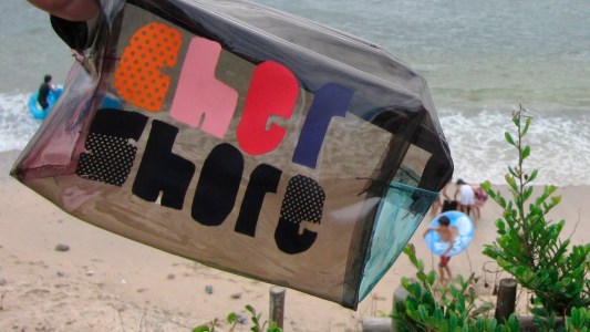 Cher Shore mixed with the beach