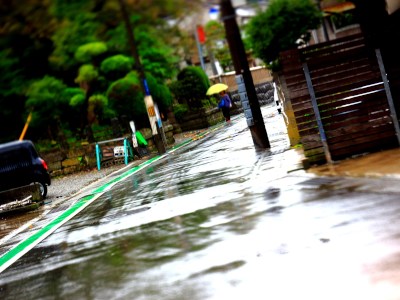 Moist rainy days in Uraga◝(⑅•ᴗ•⑅)◜..°