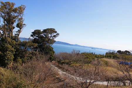 East view✩°｡⋆⸜(* ॑꒳ ॑* )⸝