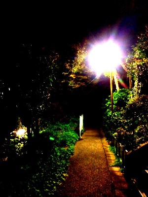 The valley of Uraga - where house-inn worthy.