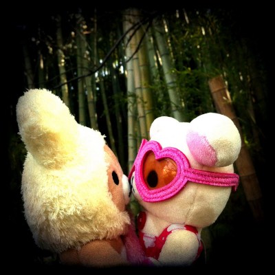 Bear's kiss♡( ˘ ³˘)✩*.°