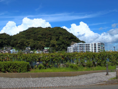 Summer holiday Uraga ☁︎*.