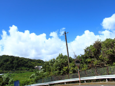 Left place in Uraga...