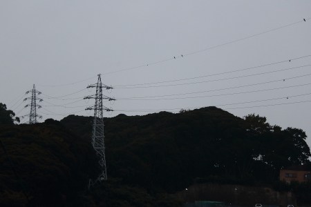 Thin power lines overthere are seemed as a ghost line.