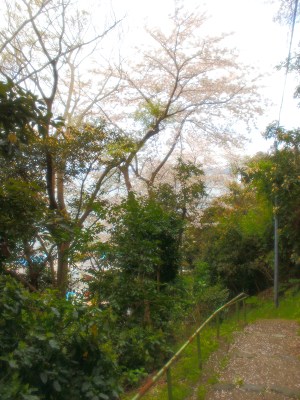 High hill of Uraga.
