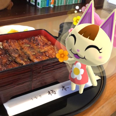 Merry is a cat girl, carnivorous and meat diet. ( ˙꒳​˙ᐢ )