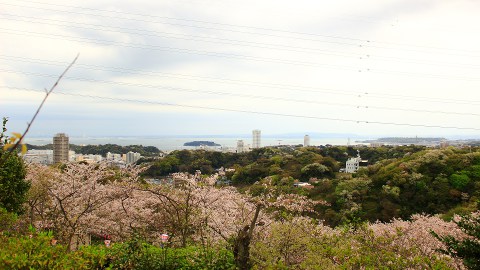 High-land-view: Yokosuka city, Sarushima island, THE TOWER Yokosuka-chuo and Mercure Hotel buildings. You can also see Kannonzaki, Yokohama and Kisarazu.